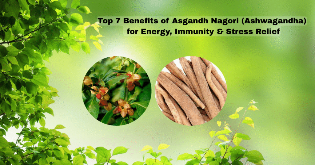 Asgandh Nagori Herb Benefits