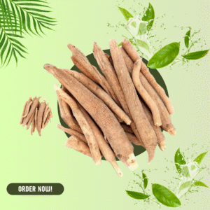 Asgandh Nagori 100 Gram